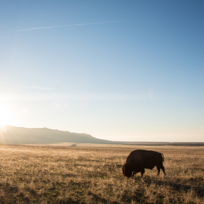 400(w)x500(h) or 400(w)x400(h), preferred ratio 4:5 or 1:1