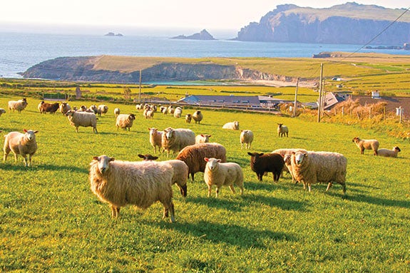 OLLI travelers in ireland