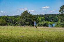 Music on the Hill photos by Bob O'Lary