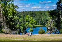 Music on the Hill photos by Bob O'Lary